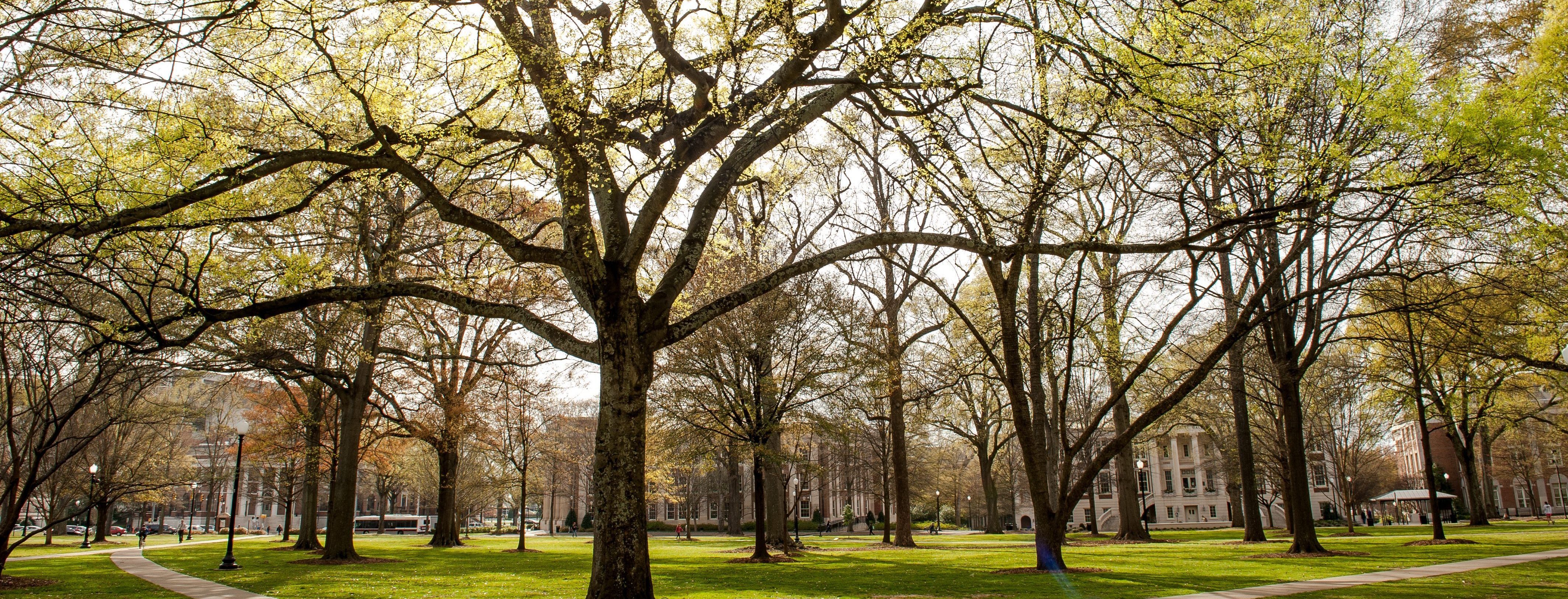 Grounds Department – UA Facilities | The University of Alabama